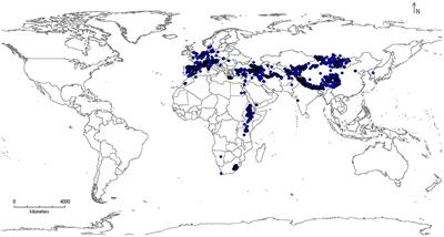 Modeling global habitat suitability and environmental predictor of distribution of a Near Threatened avian scavenger at a high spatial resolution